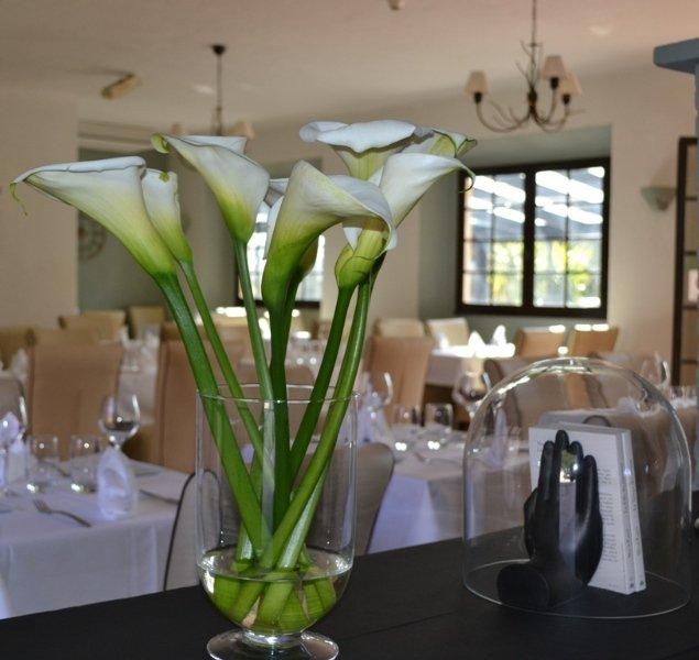 Hotel All Suites & 4*