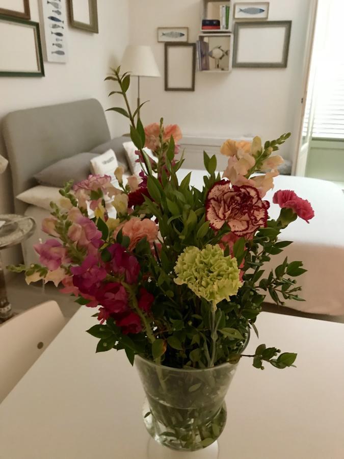 Chateau - Vieux Apartment Nice