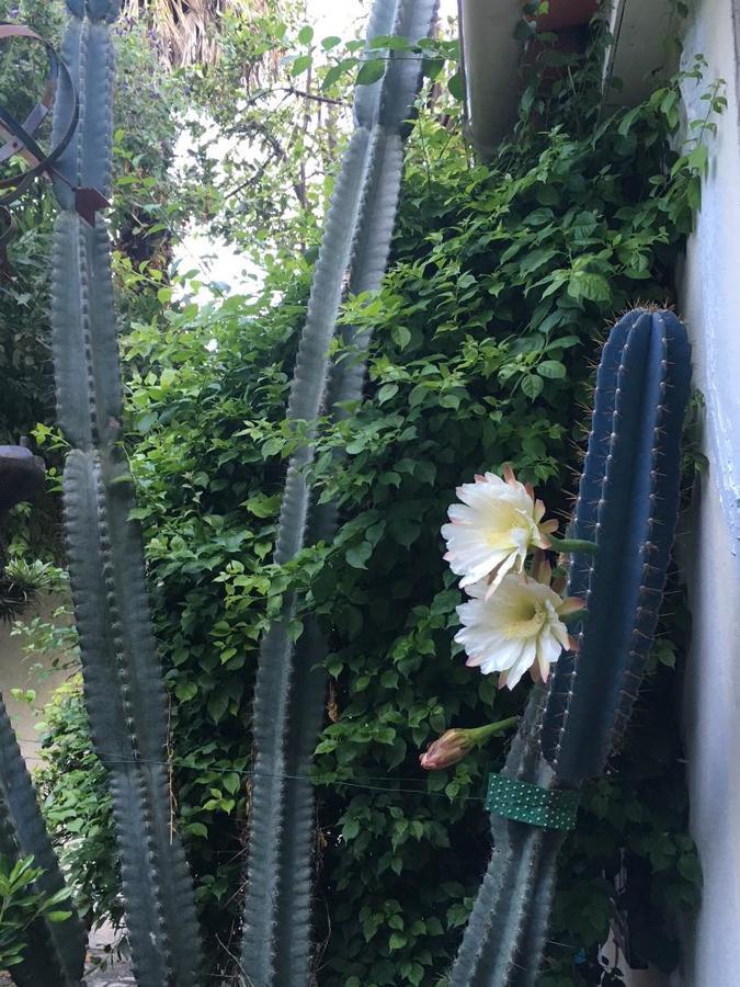 Hotel La Malouine Nice