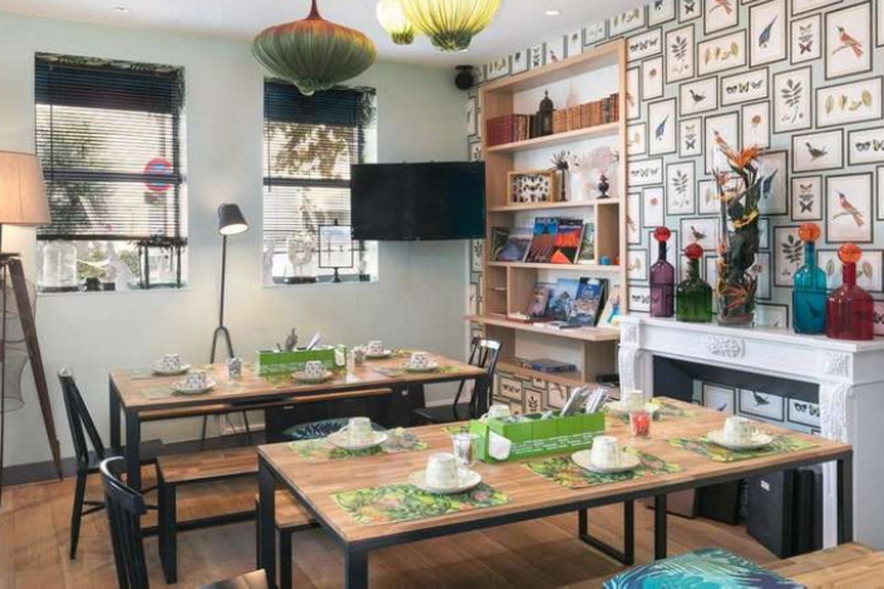 Bougainville By Happyculture 4*