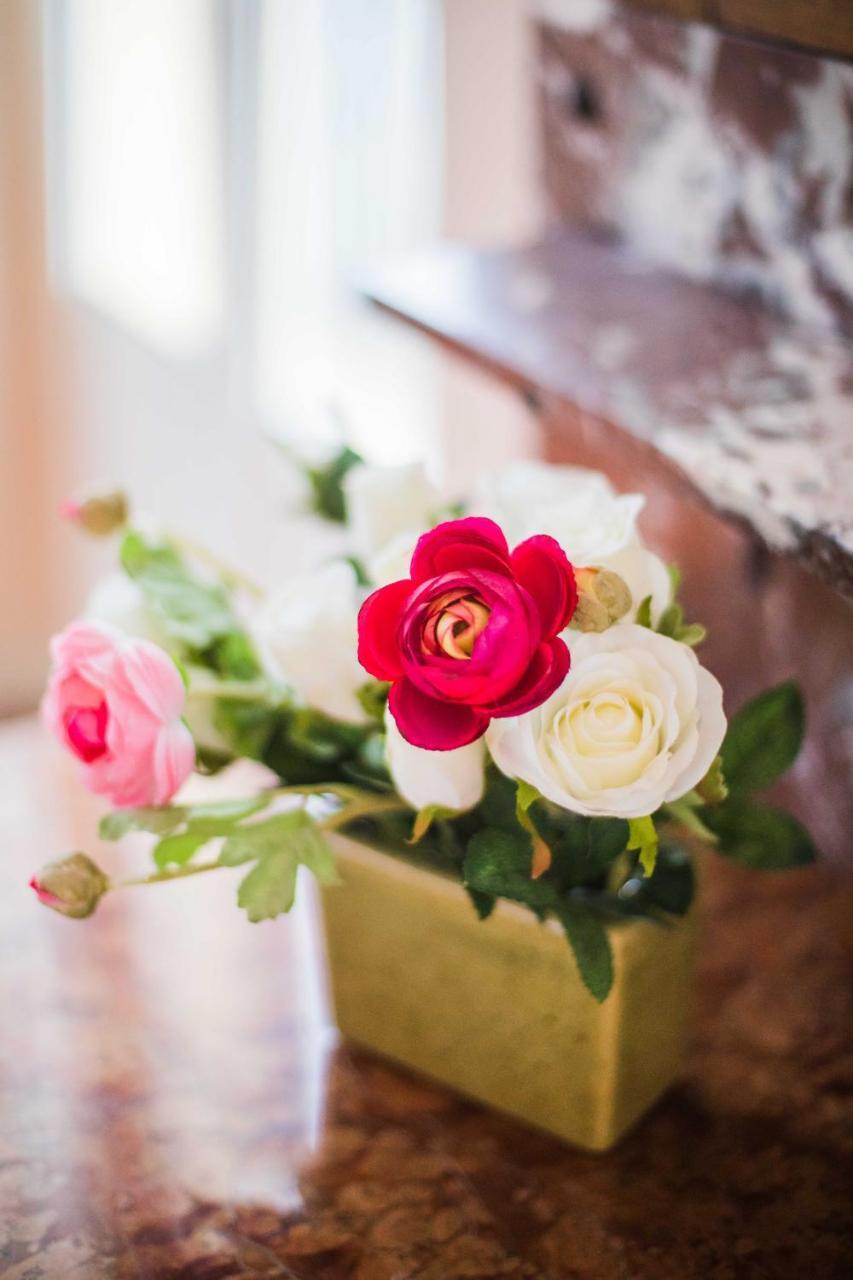 Etoile Ap1007 By Riviera Homes