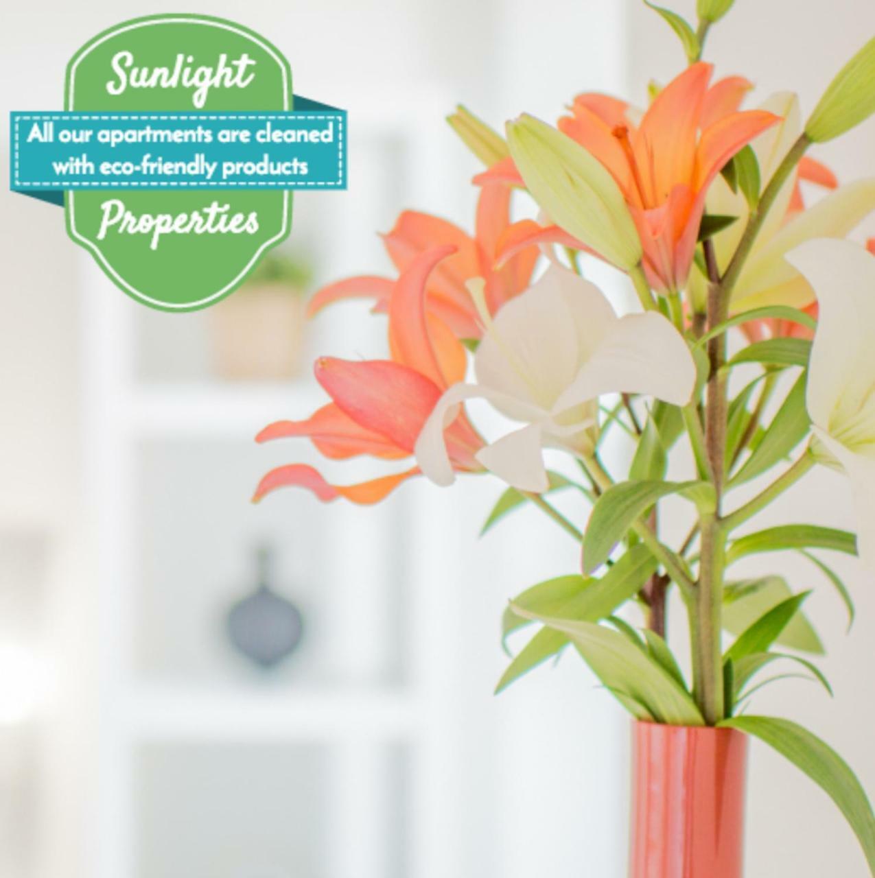 Sunlight - 