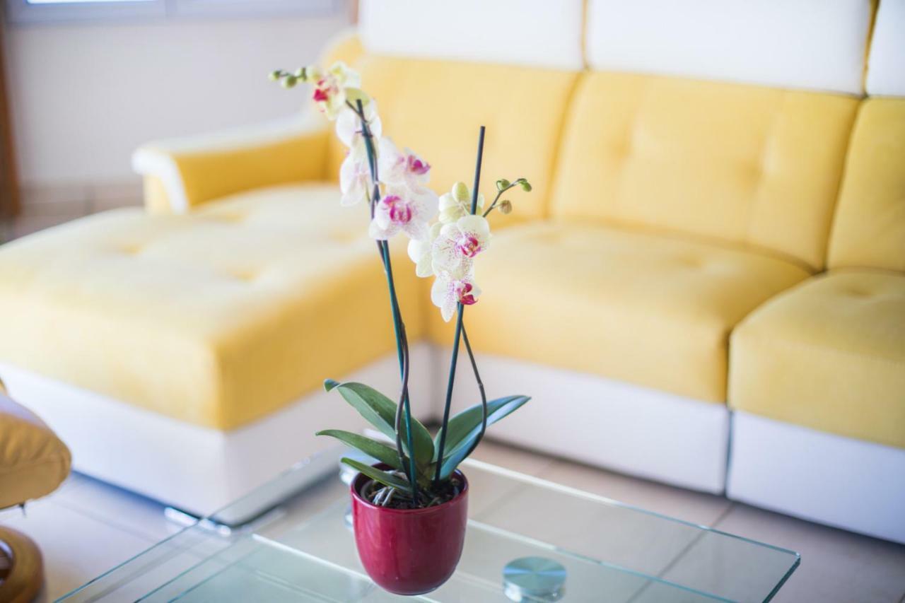 La Casetta Dei Fiori Vi3078 *