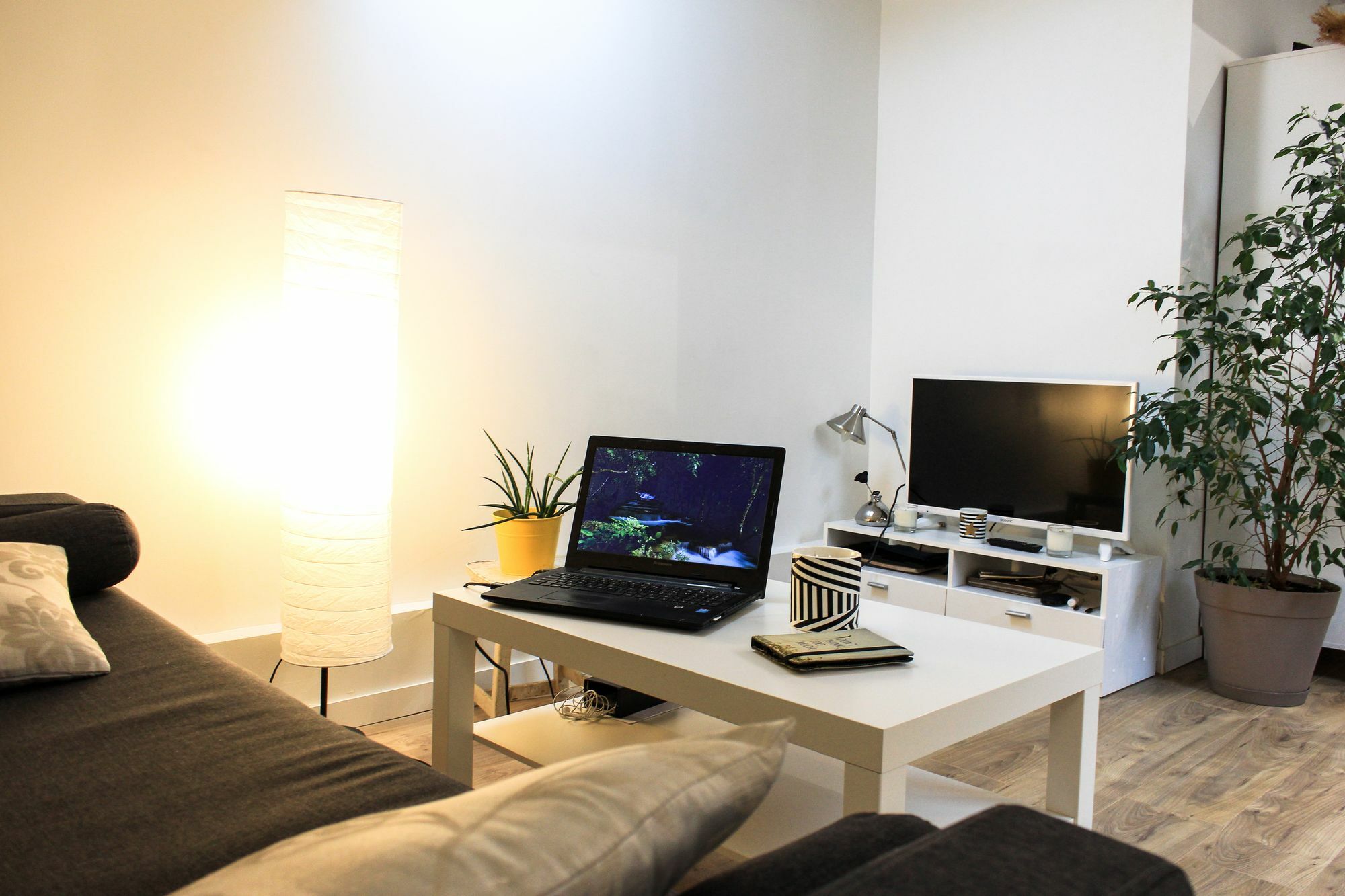 Charlie Apartment Nice
