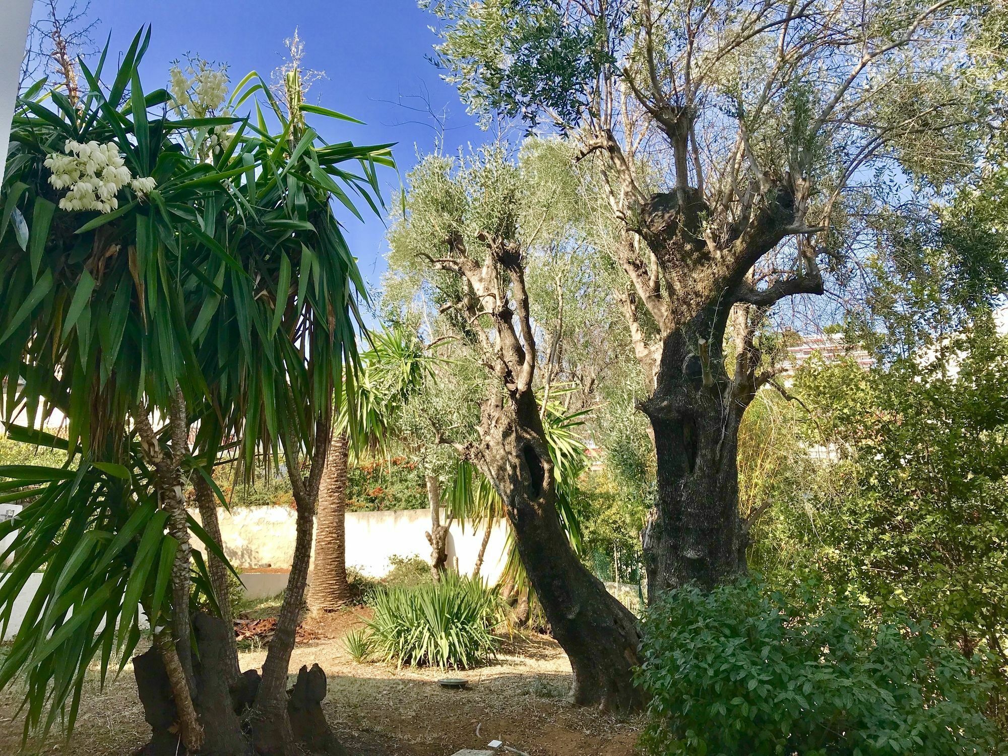 Californienne Villa