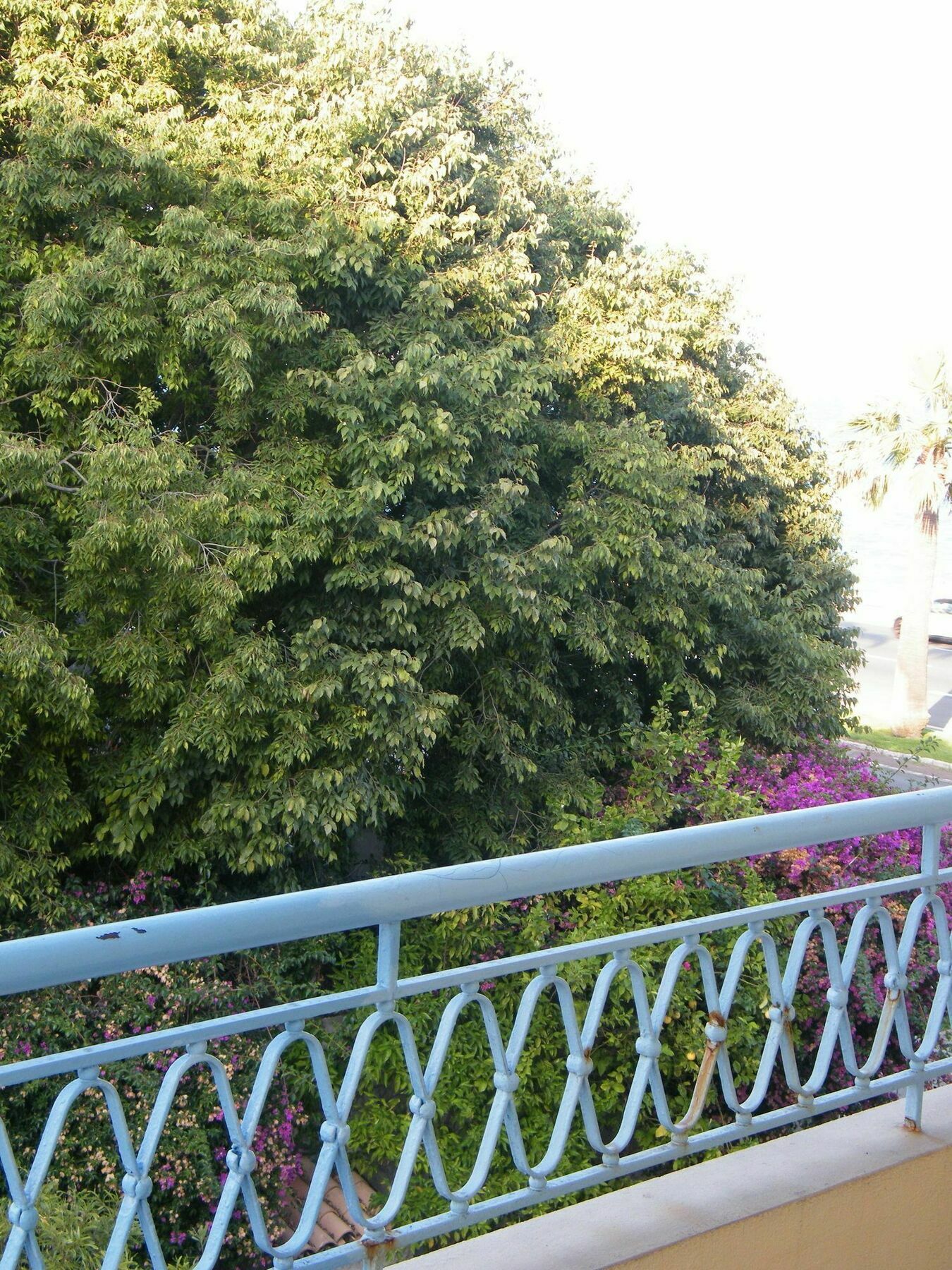 Henri Iv 2chambres Jardin Mer-pettorossi