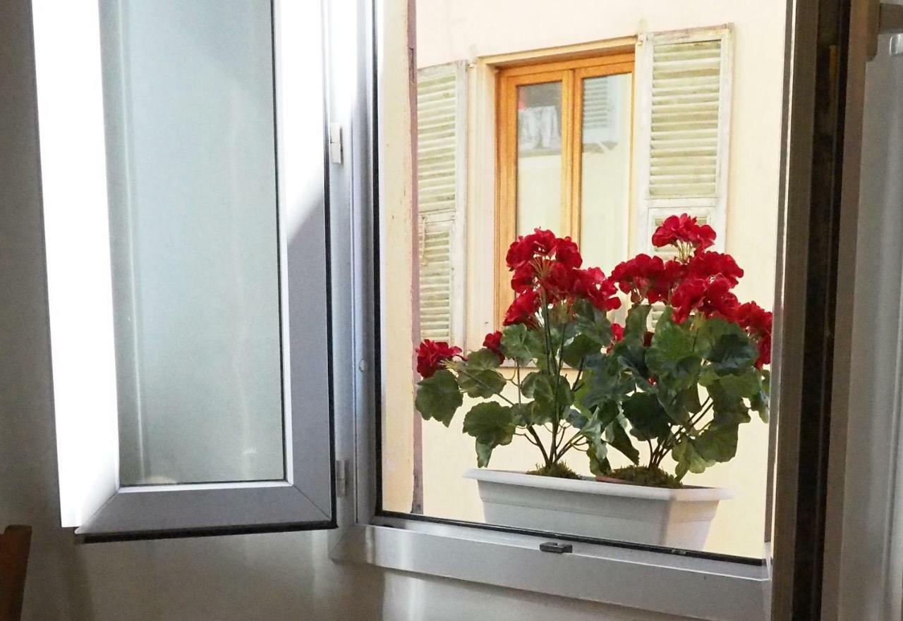 Apartment 2 Bedroom Old Town Centre Nice