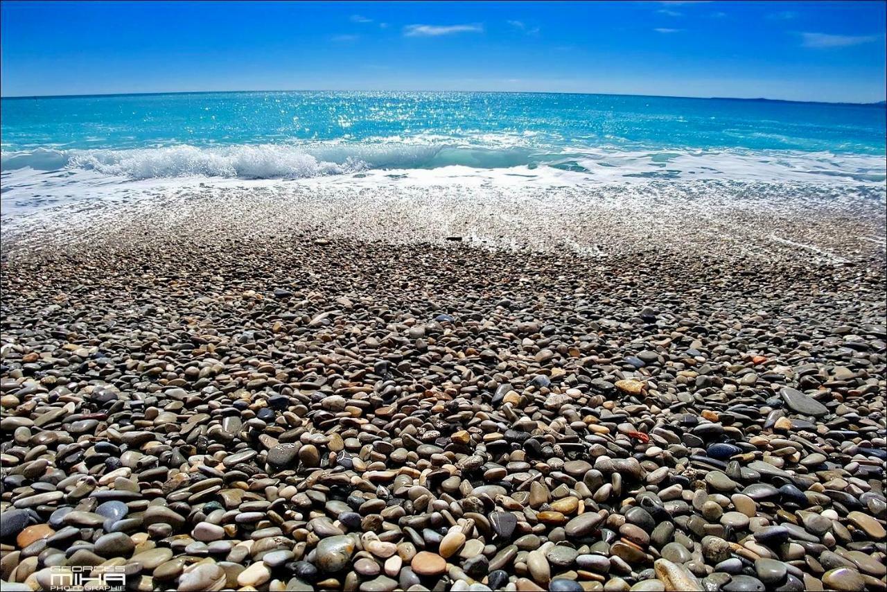 Florida Blue - Easy * Nice