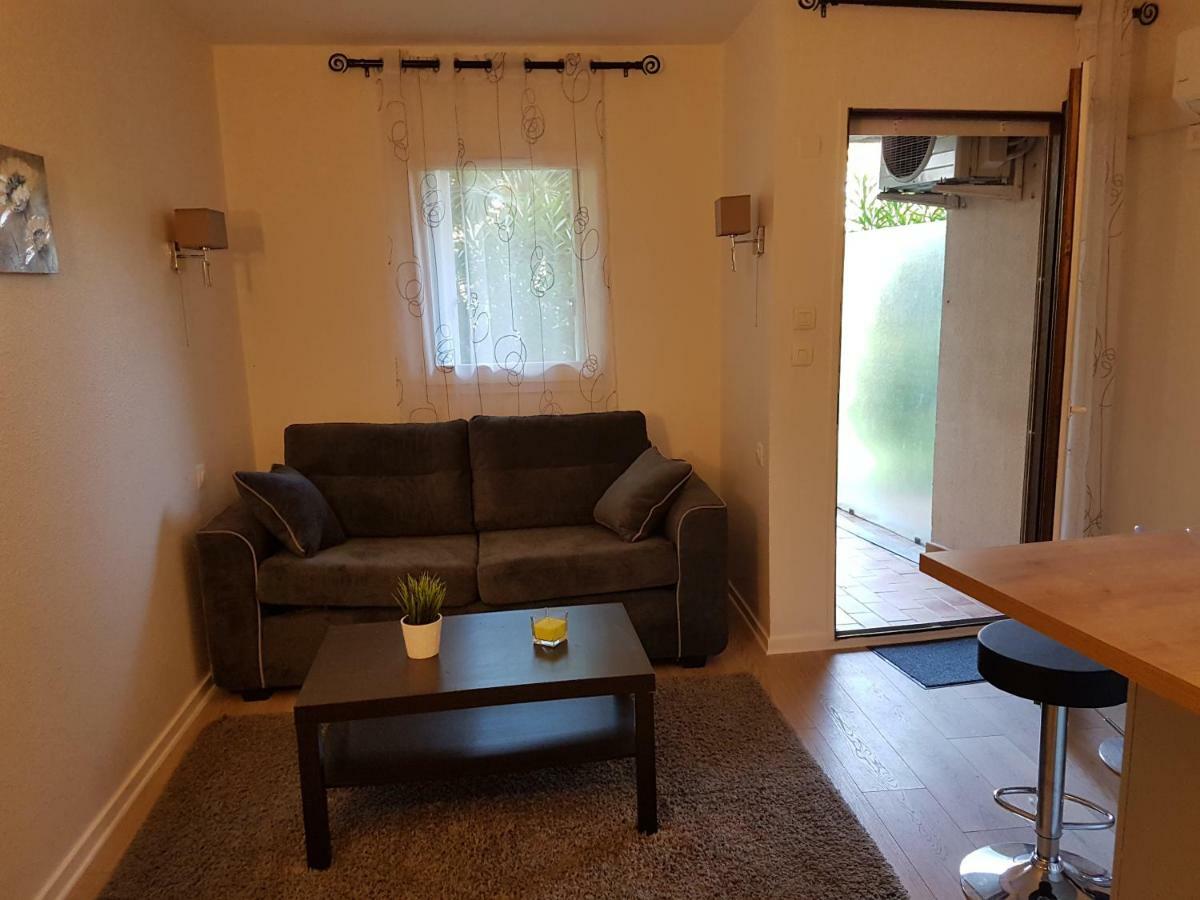 Les Palmiers A 700m De La Nice