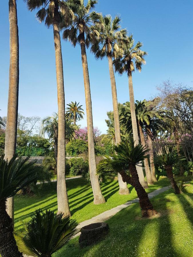 Apartment Les Palmiers A 700m De La