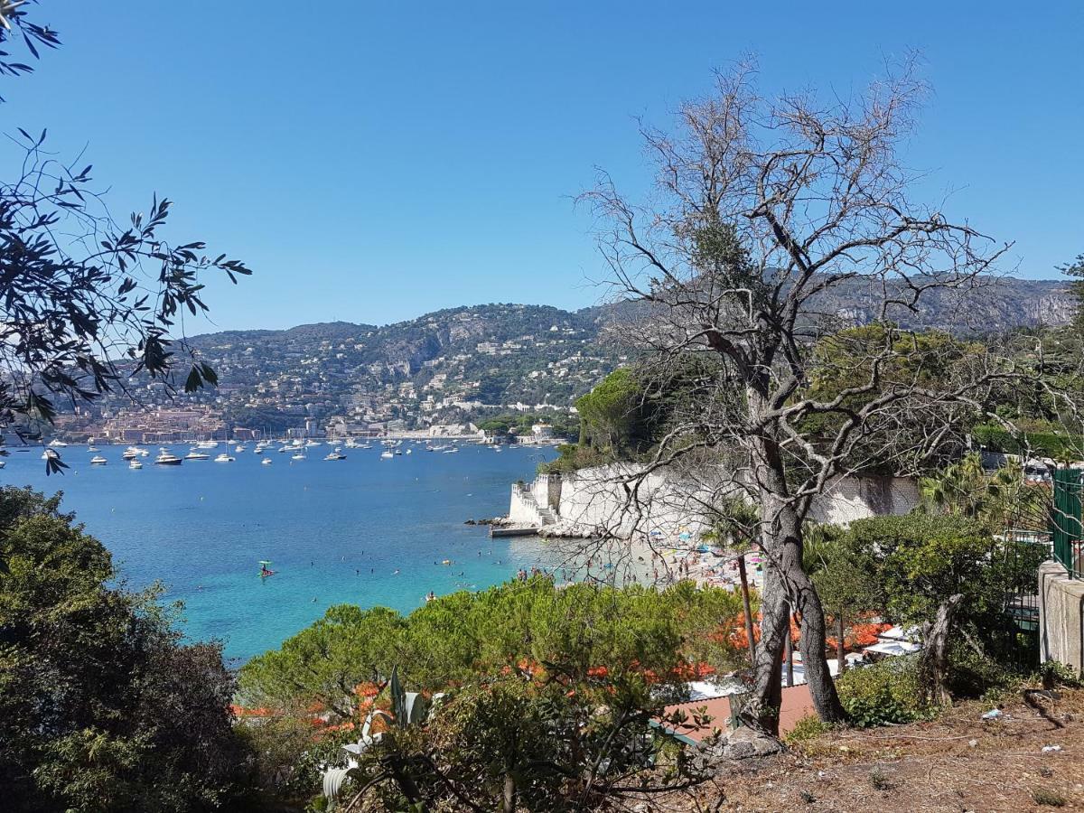 Les Palmiers A 700m De La Apartment *