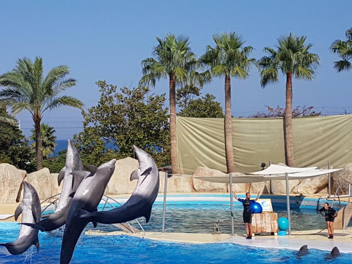 Apartment Les Palmiers A 700m De La Nice