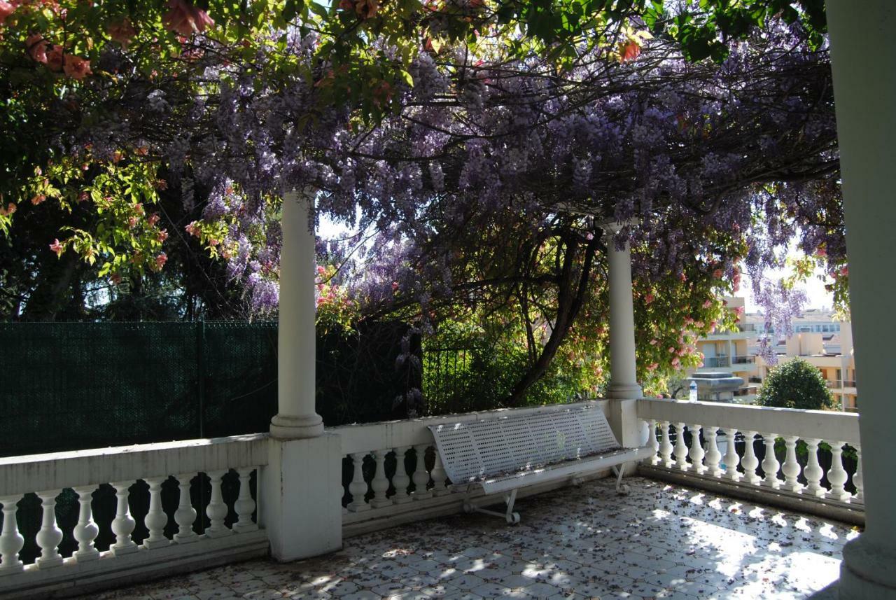 Les Palmiers A 700m De La Apartment