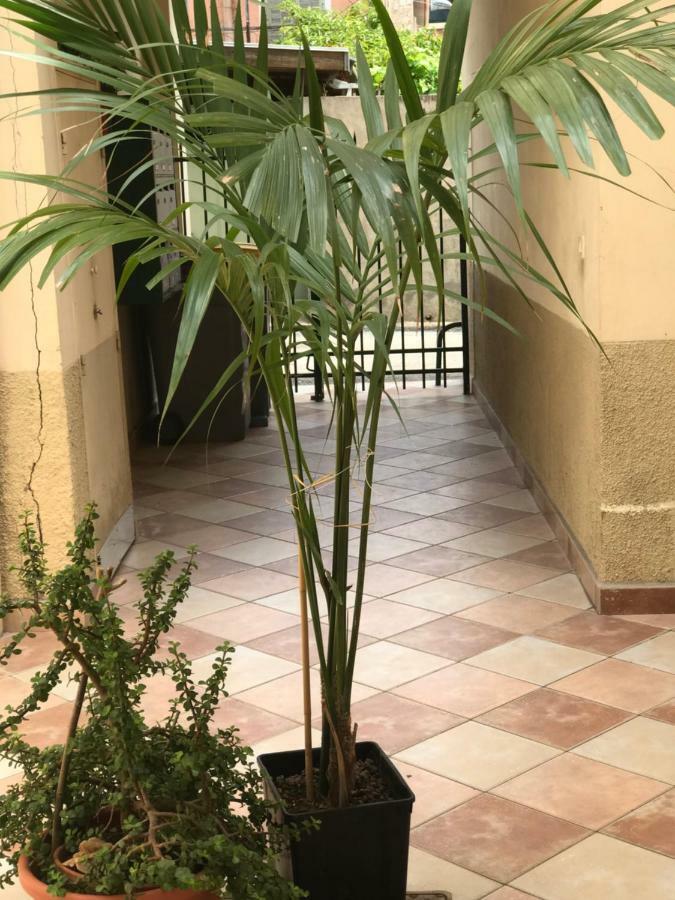 Apartment Garden Carras