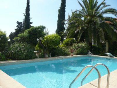 Dracoena Villa Nice