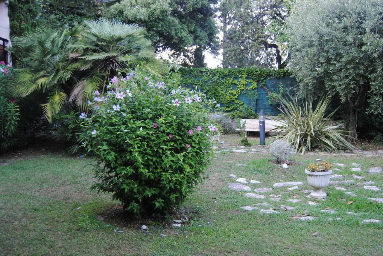 Les Palmiers A 700m De La *