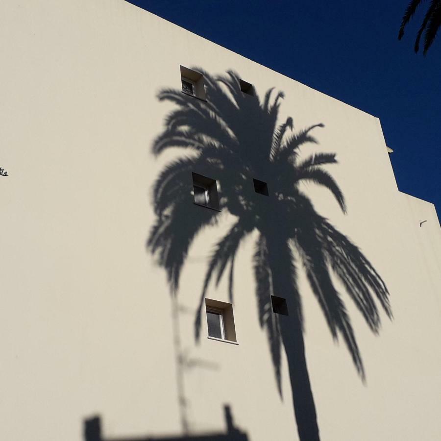 Apartment Les Pins . 2 P Calme Et Terrasse *