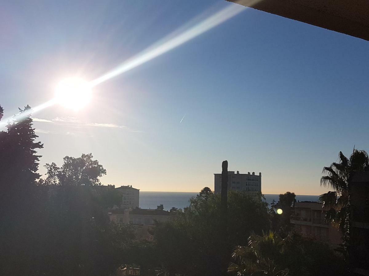 Les Palmiers A 700m De La Apartment