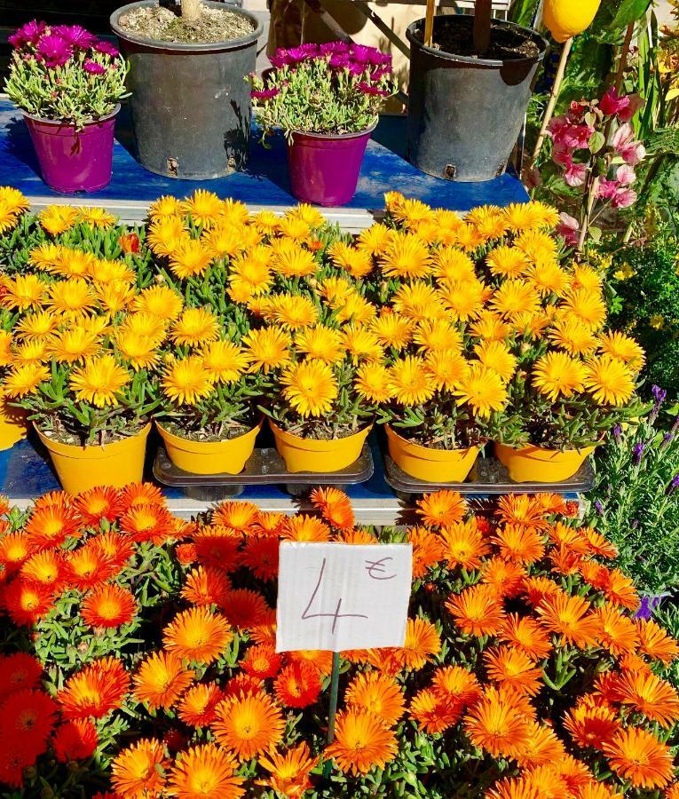 Apartment Boulevard Victor Hugo