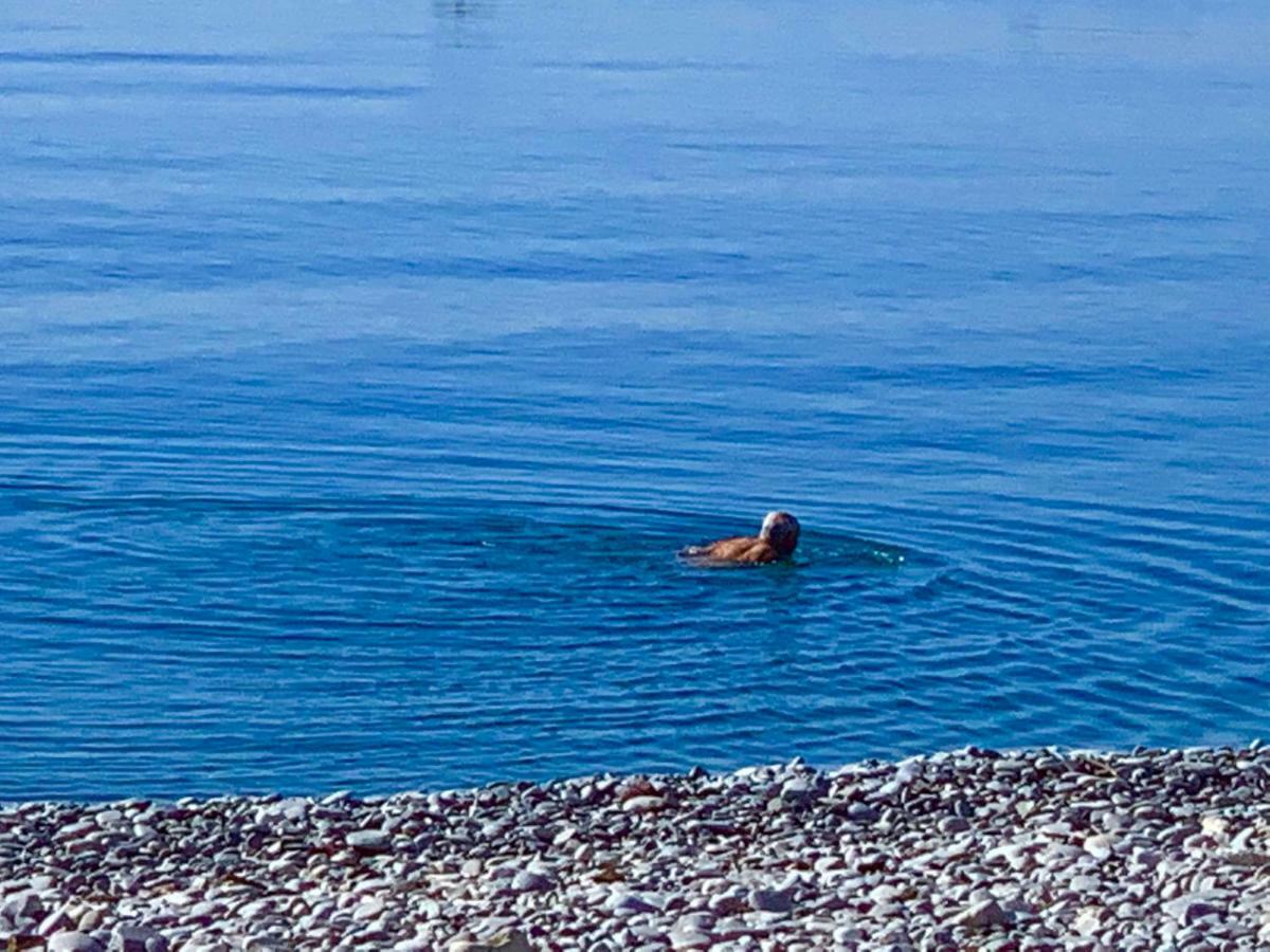 Boulevard Victor Hugo