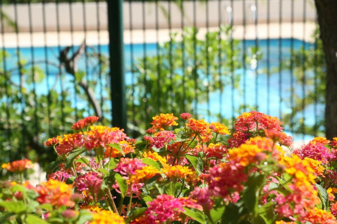 Le Fabrina Riviera Apartamento Nice