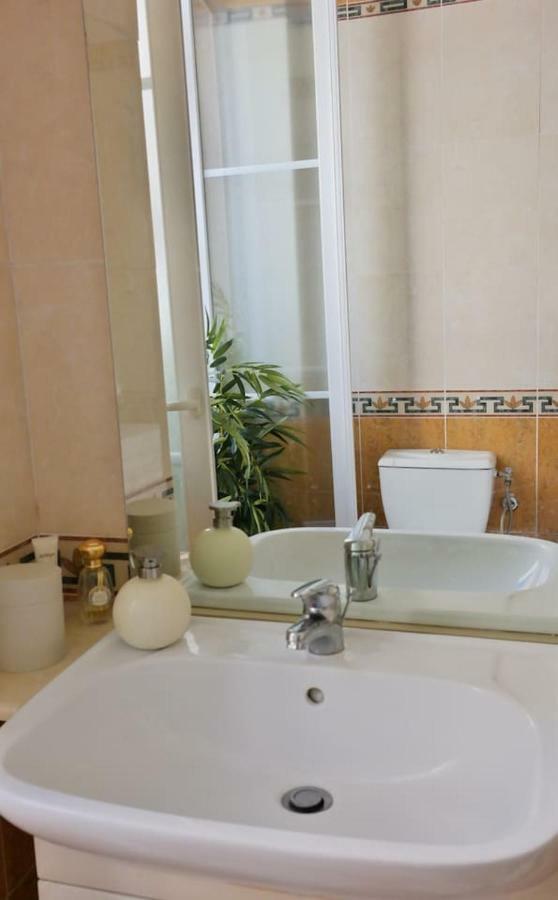 Apartment Roses & Ivy, Rue Du Congres