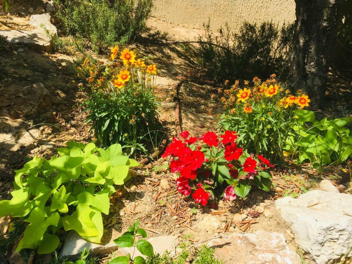 Oasis Mediterraneen Piscine & Parking Calme Absolu Nice