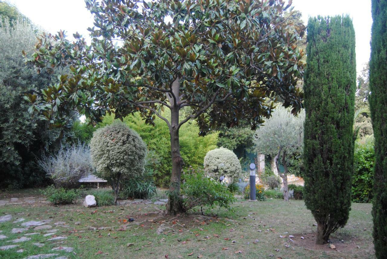 Les Palmiers A 700m De La * Nice