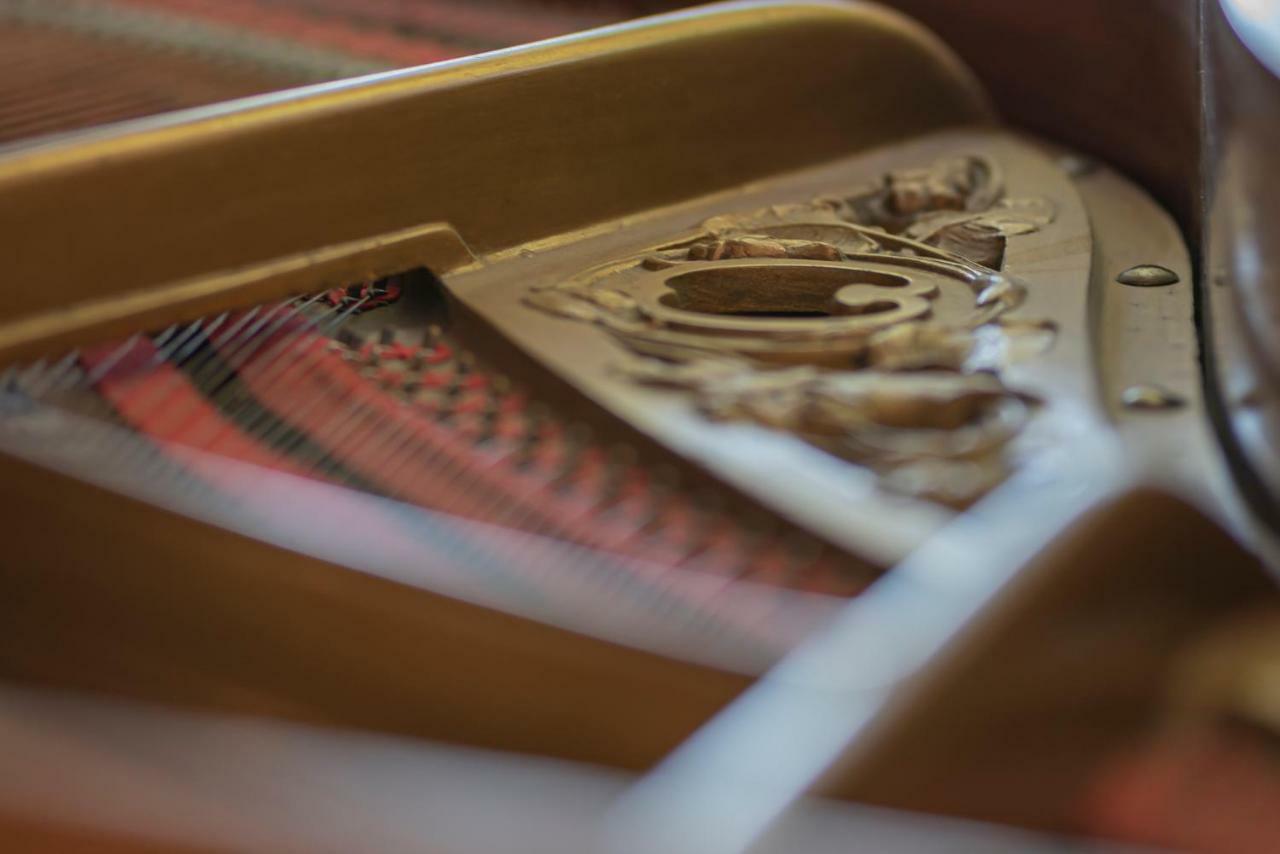 Chateau Des - Five Stars House * Nice