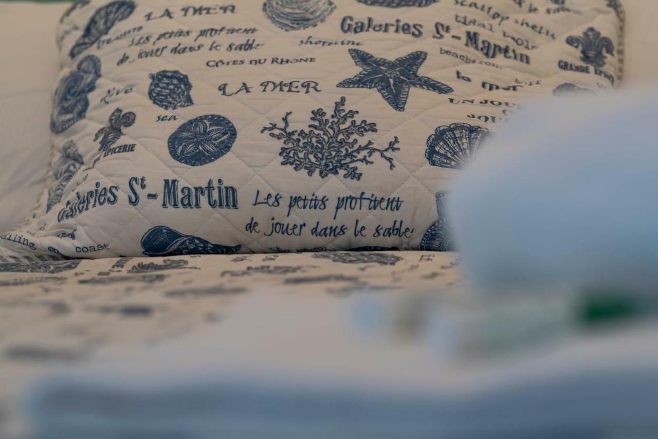 Chateau Des - Five Stars House * Nice