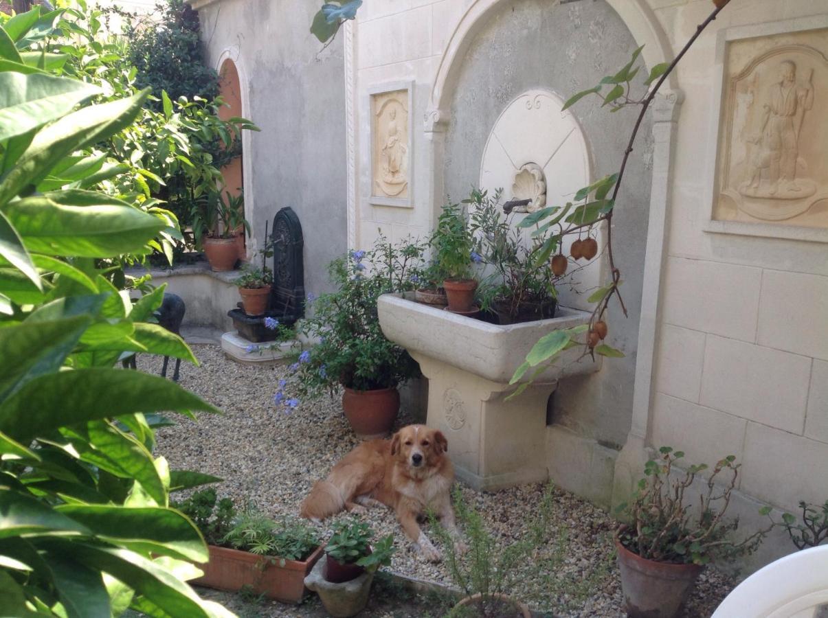 Appartement Confort Avec Terrasse