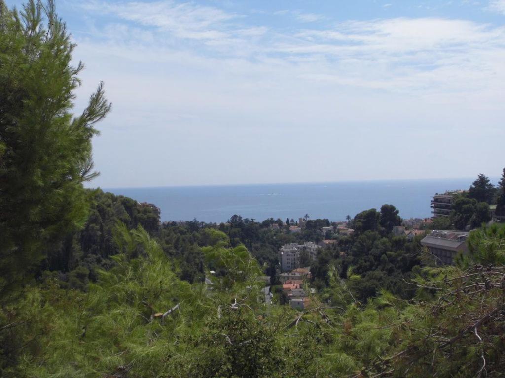Apartment La Madonette Nice