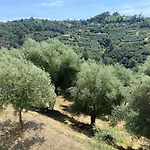 Avec Piscine Chauffee Collines Villa