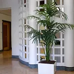 #7 Staywiz Us - What Else Your Own Quiet Terrace In Nice Center 10Min To Beach