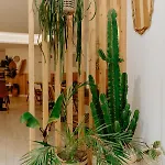 Hotel Palm Boutique