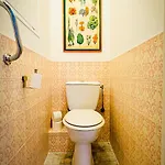 Elegant, Spacious, Central Apartment Nice