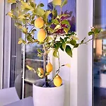 Apartment 2p Bonjour Soleil *