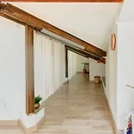 Joli Loft Mansarde Apartment Nice