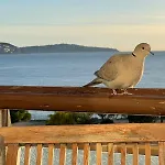 Nice, Exceptional Sea View, Top Floor, Parking