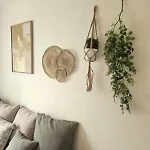 Charming Studio