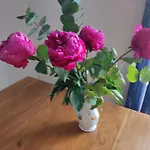 F2 Vue Mer Et Montagne Au Calme