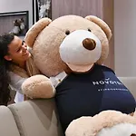 Novotel Nice Arenas Aeroport