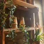 Des Aventuriers - Experience Unique & Atypique A Proche Du Centre Apartment