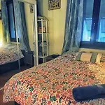 Shared Appartment With Kitten