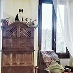Apartment Shared With Kitten Nice