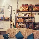 Shared With Kitten Apartment