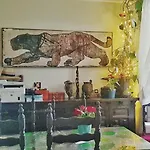 Shared Appartment With Kitten