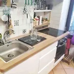 Shared With Kitten Nice