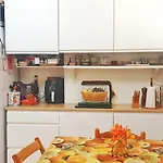 Shared Appartment With Kitten