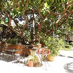 Hotel Anis